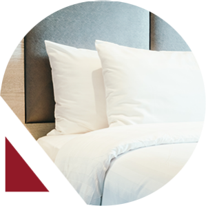 Exclusive ozaccom accommodation deals for qme attendees